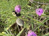 View photo in a new window