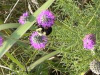 View photo in a new window