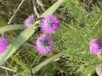 View photo in a new window