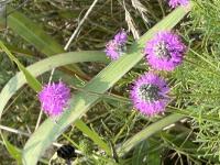 View photo in a new window