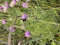 View photo in a new window