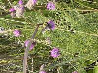 View photo in a new window