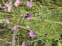 View photo in a new window