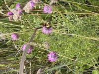 View photo in a new window