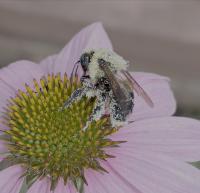 View photo in a new window