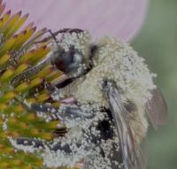 View photo in a new window