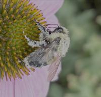 View photo in a new window