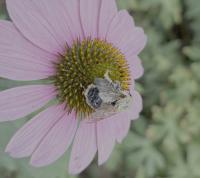 View photo in a new window