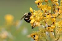 View photo in a new window