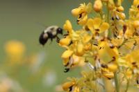 View photo in a new window