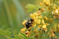 View photo in a new window