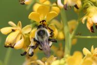 View photo in a new window