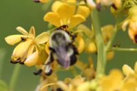 View photo in a new window