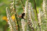 View photo in a new window