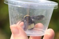 View photo in a new window