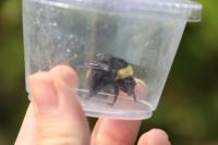 View photo in a new window