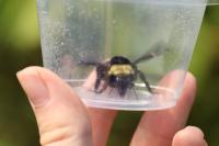 View photo in a new window