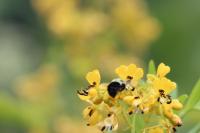 View photo in a new window