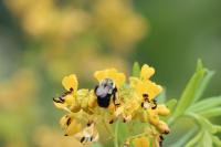 View photo in a new window