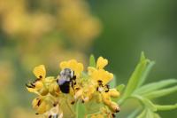 View photo in a new window