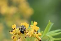 View photo in a new window