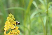 View photo in a new window