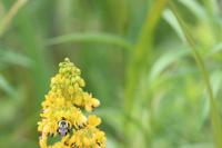 View photo in a new window