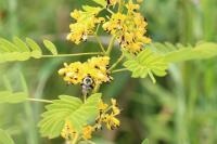 View photo in a new window