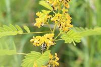 View photo in a new window