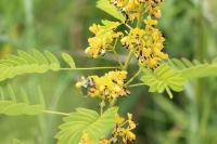 View photo in a new window