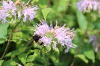 View photo in a new window