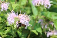 View photo in a new window