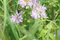 View photo in a new window