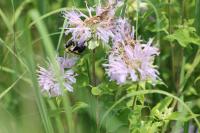 View photo in a new window