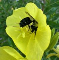 View photo in a new window