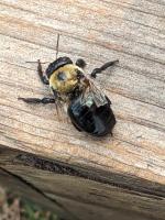 View photo in a new window