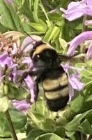 View photo in a new window