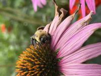 View photo in a new window