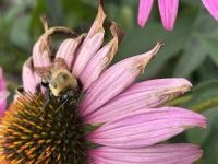 View photo in a new window