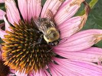 View photo in a new window