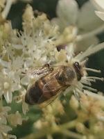 View photo in a new window