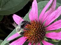 View photo in a new window