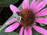 View photo in a new window