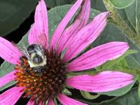 View photo in a new window