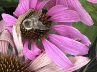 View photo in a new window