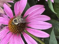 View photo in a new window