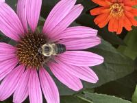 View photo in a new window