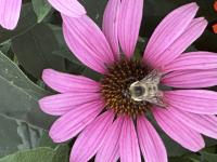 View photo in a new window