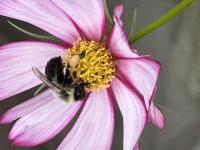 View photo in a new window