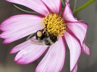 View photo in a new window